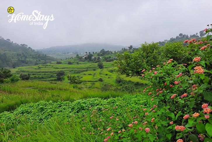 Dwarahat Village Farmstay- Babaji'S Cave Exterior foto
